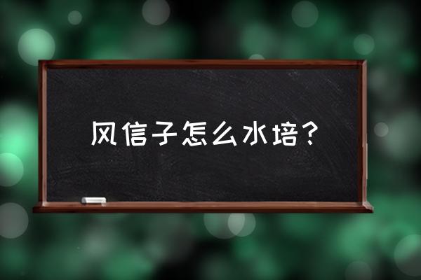 风信子水培怎么养 风信子怎么水培？