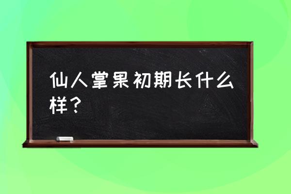 仙人掌的果实长什么样 仙人掌果初期长什么样？