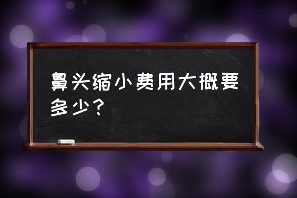 鼻头缩小要花多少钱 鼻头缩小费用大概要多少？