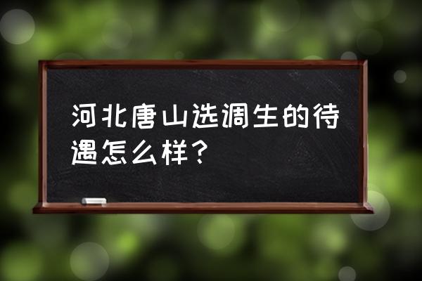 河北省选调生待遇 河北唐山选调生的待遇怎么样？