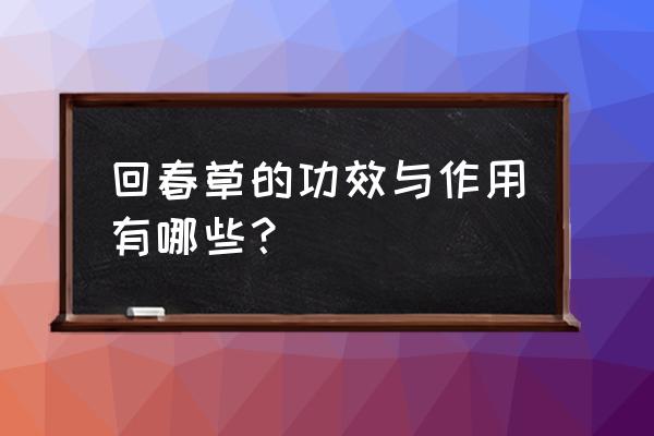 回春草壮阳真的有作用吗 回春草的功效与作用有哪些？