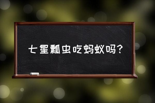 七星瓢虫吃蚂蚁吗 七星瓢虫吃蚂蚁吗？