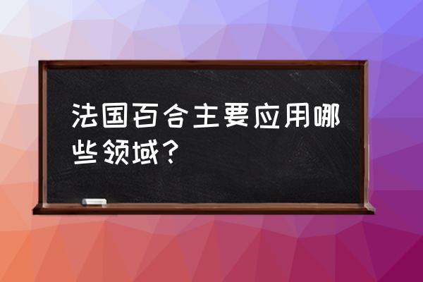 百合提取物 法国百合主要应用哪些领域？