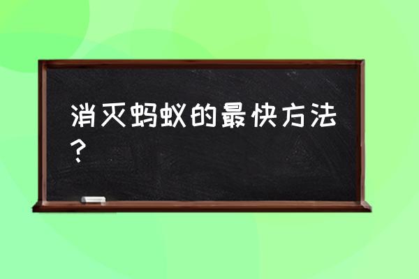 如何快速消灭蚂蚁 消灭蚂蚁的最快方法？