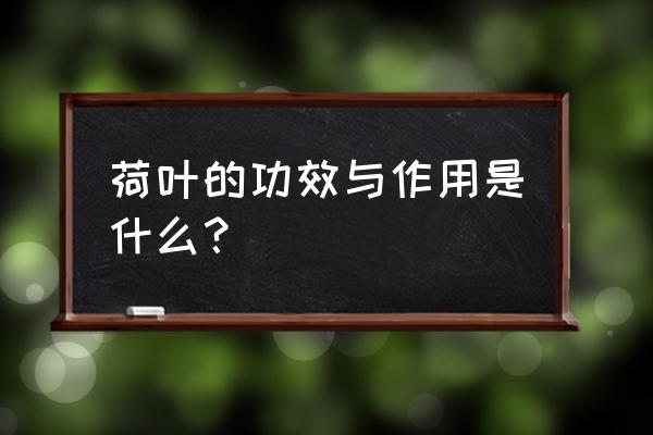 荷叶子的功效与作用 荷叶的功效与作用是什么？