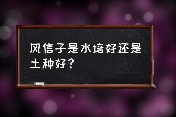 风信子是土培好还是水培好 风信子是水培好还是土种好？