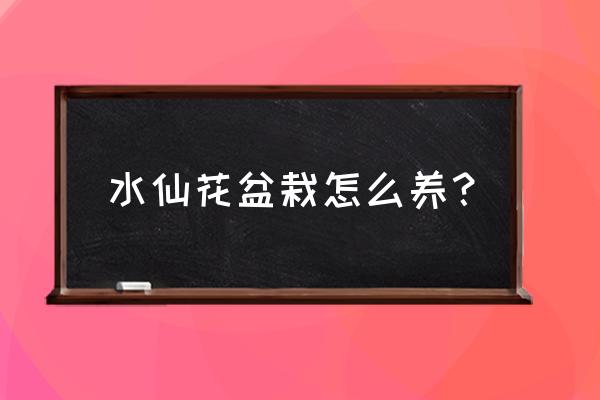 水仙花养殖技巧 水仙花盆栽怎么养？