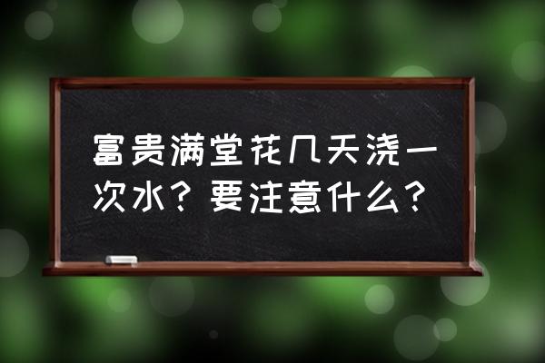 花开富贵之富贵满堂 富贵满堂花几天浇一次水？要注意什么？