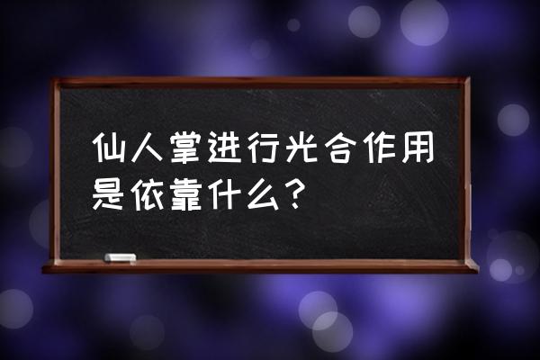 仙人掌依靠光合作用的是 仙人掌进行光合作用是依靠什么？