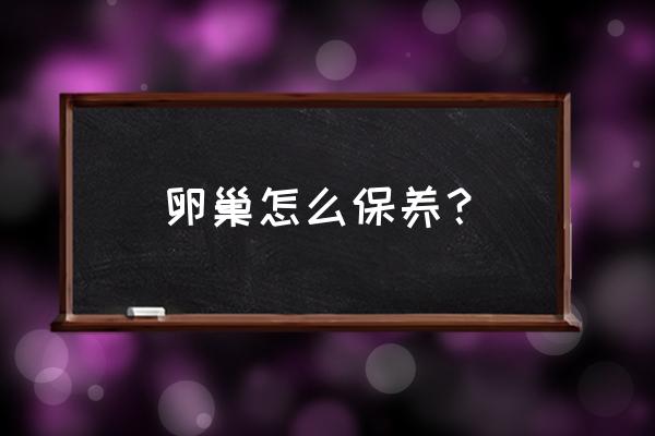 品质有保证的卵巢保养 卵巢怎么保养？