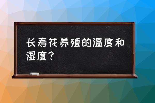 长寿花养殖环境 长寿花养殖的温度和湿度？