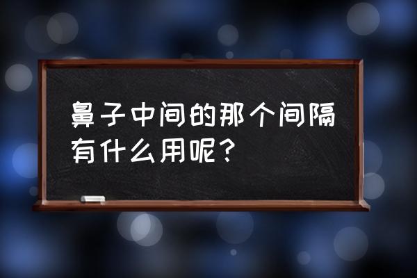 鼻中隔软骨隆鼻效果 鼻子中间的那个间隔有什么用呢？