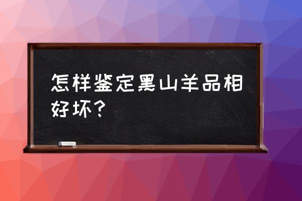 大足黑山羊怎么挑选 怎样鉴定黑山羊品相好坏？