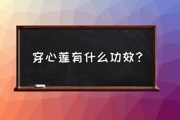 食用穿心莲的功效与作用 穿心莲有什么功效？