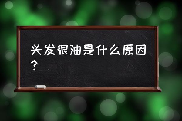 头发太容易油了是为什么 头发很油是什么原因？