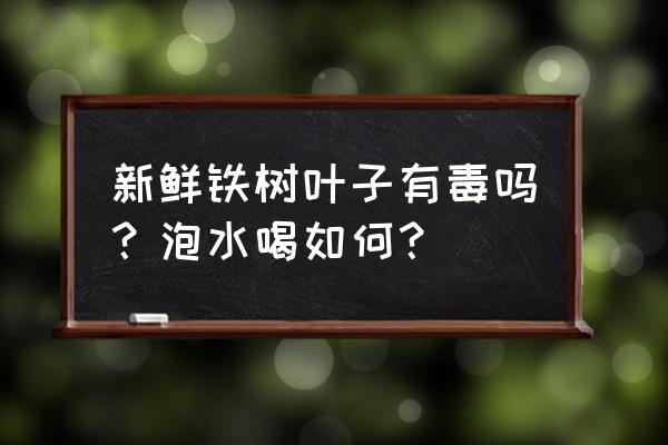 新鲜铁树叶的功效 新鲜铁树叶子有毒吗？泡水喝如何？