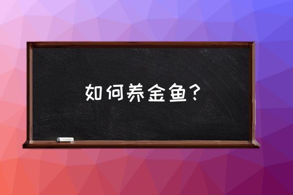 养金鱼的正确方法 如何养金鱼？