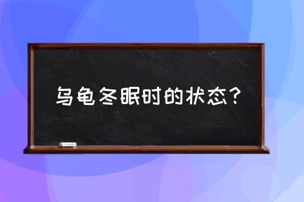 乌龟冬眠的表现 乌龟冬眠时的状态？