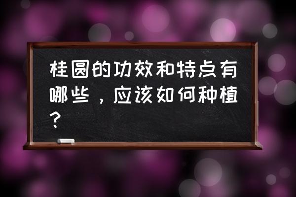 桂圆的营养和功功效 桂圆的功效和特点有哪些，应该如何种植？