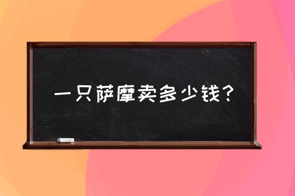 萨摩多少钱一只正常价 一只萨摩卖多少钱？