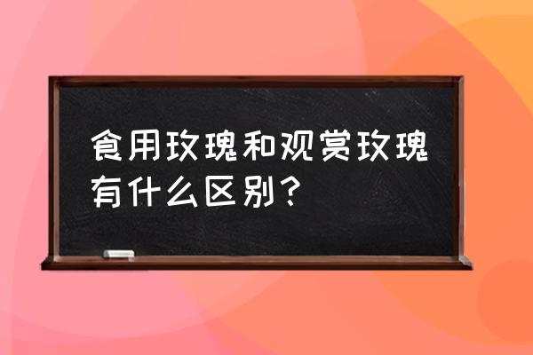 食用玫瑰和观赏玫瑰 食用玫瑰和观赏玫瑰有什么区别？