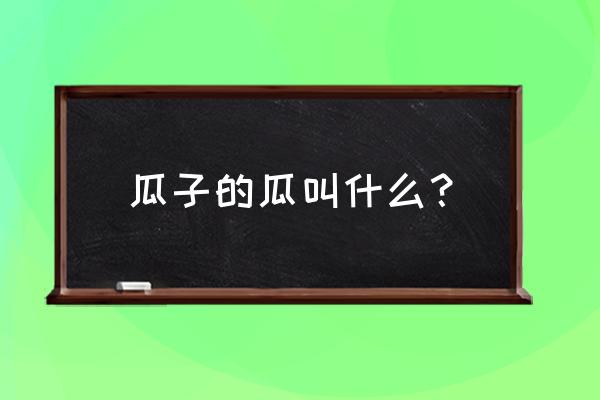 大板瓜子是什么瓜的子 瓜子的瓜叫什么？