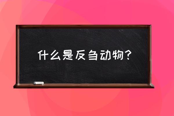 反刍动物是指什么动物 什么是反刍动物？