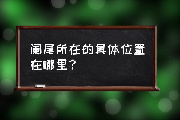 阑尾位置在哪个部位 阑尾所在的具体位置在哪里？