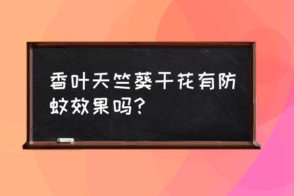 香叶天竺葵的功效与作用 香叶天竺葵干花有防蚊效果吗？