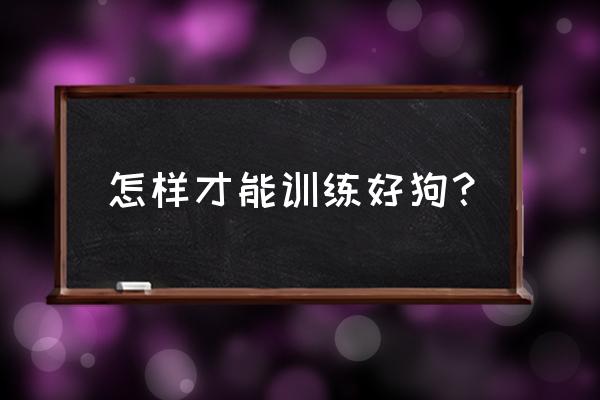 宠物狗怎么训练 怎样才能训练好狗？