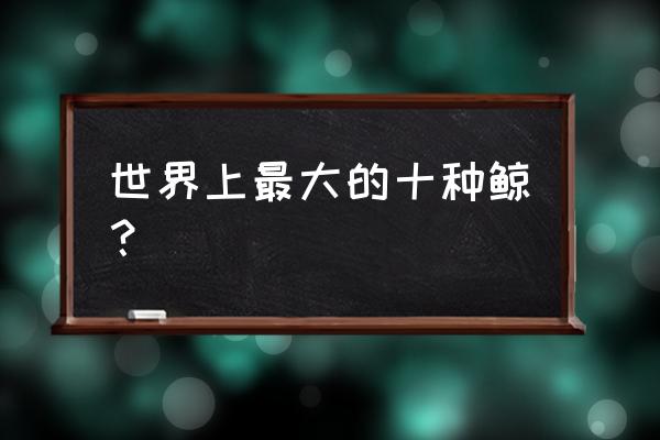 世界上最大的鲸鱼排名 世界上最大的十种鲸？