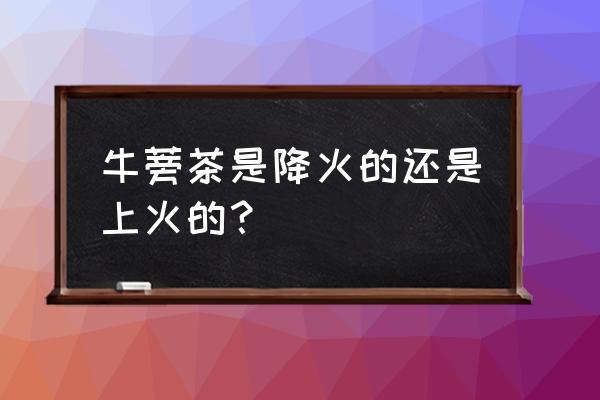 牛蒡茶的功效与禁忌 牛蒡茶是降火的还是上火的？