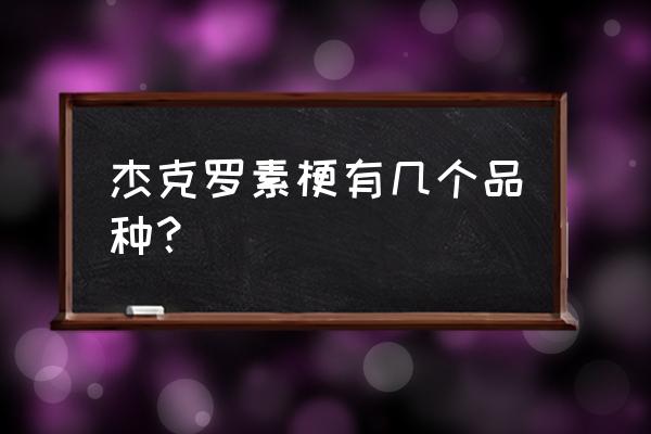 杰克罗素梗有几种 杰克罗素梗有几个品种？