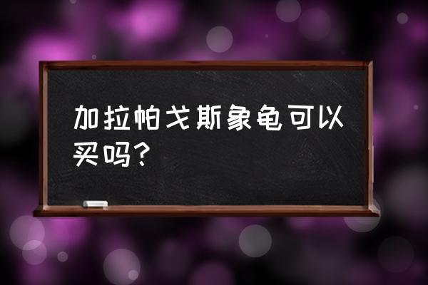 平塔岛加拉帕戈斯象龟 加拉帕戈斯象龟可以买吗？