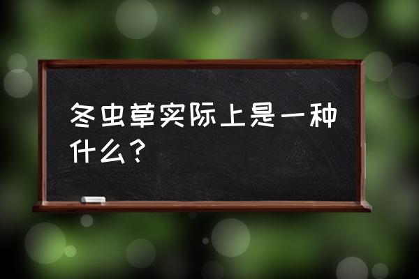 冬虫夏草到底是什么东西 冬虫草实际上是一种什么？