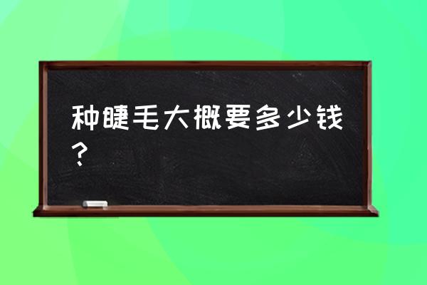 种植睫毛需要多少钱 种睫毛大概要多少钱？