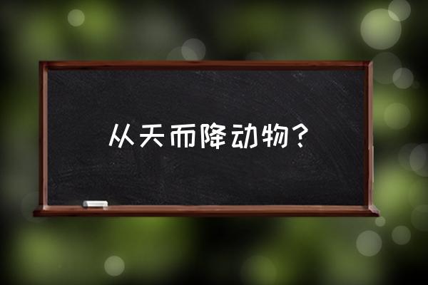 从天而降打一动物 从天而降动物？