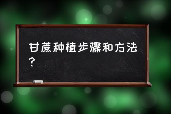 甘蔗种植技术要点 甘蔗种植步骤和方法？