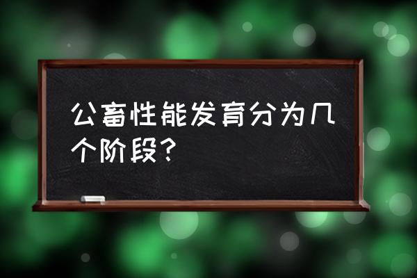 睾丸的下降过程 公畜性能发育分为几个阶段？