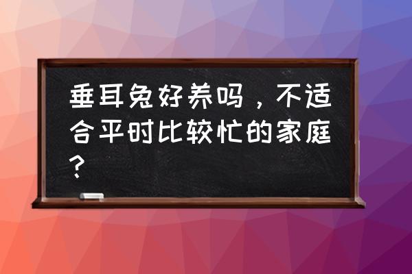 迷你垂耳兔好养吗 垂耳兔好养吗，不适合平时比较忙的家庭？