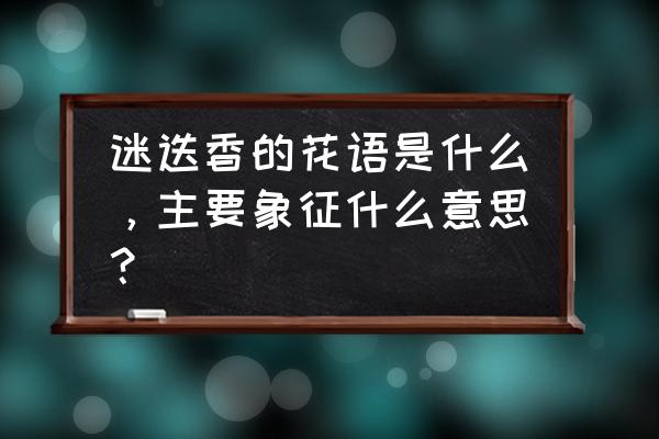 迷迭香的花语和含义 迷迭香的花语是什么，主要象征什么意思？