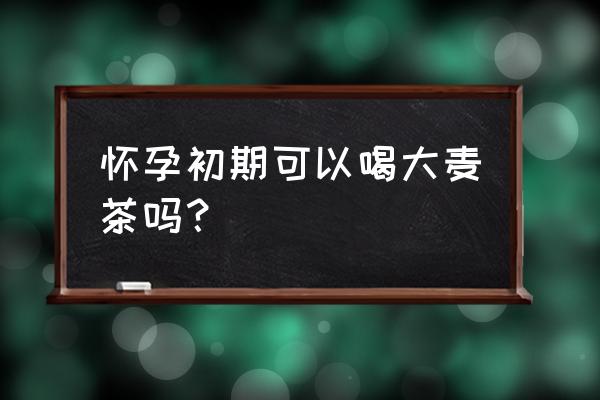 怀孕初期可以喝大麦茶吗 怀孕初期可以喝大麦茶吗？