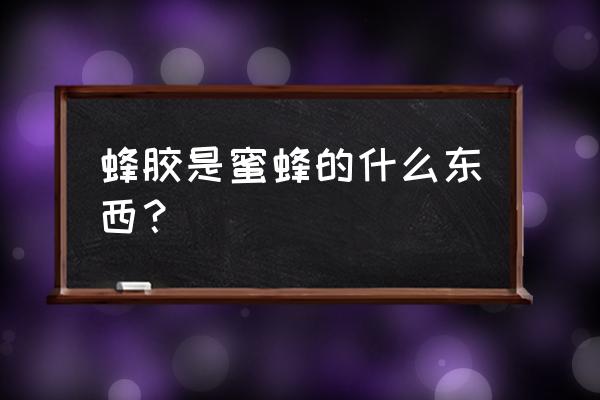 蜂胶是什么东西有什么功能 蜂胶是蜜蜂的什么东西？