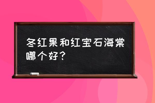 红宝石海棠果能吃吗 冬红果和红宝石海棠哪个好？