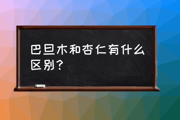 巴旦木与杏仁有何区别 巴旦木和杏仁有什么区别？