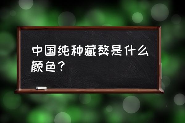 纯种藏獒是什么颜色的 中国纯种藏獒是什么颜色？