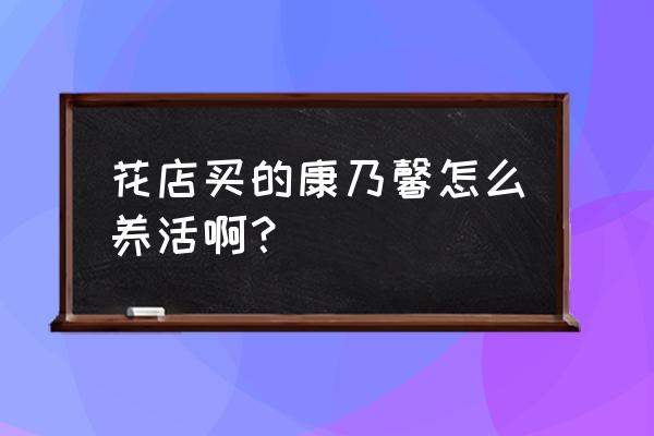 新买的康乃馨怎么养 花店买的康乃馨怎么养活啊？