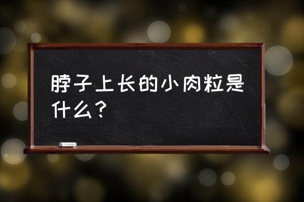 脖子上长凸起小肉粒 脖子上长的小肉粒是什么？