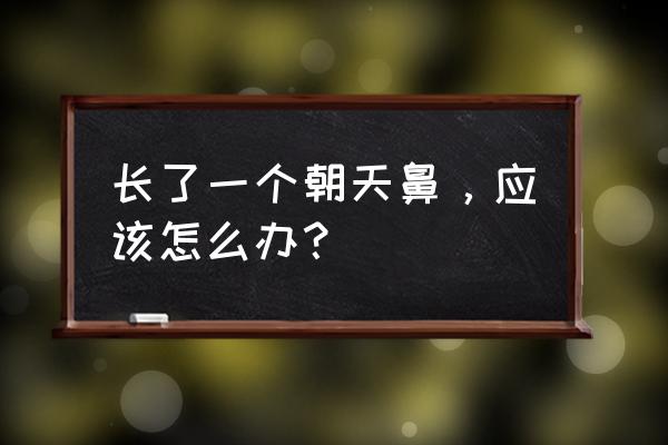 鼻子有点朝天 长了一个朝天鼻，应该怎么办？