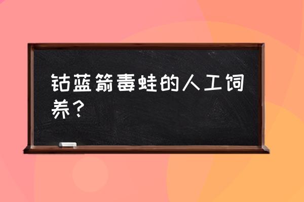 钴蓝箭毒蛙与黄金箭毒蛙 钴蓝箭毒蛙的人工饲养？